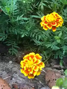 木舟山 順教寺(広島県)(2021年09月28日(火) 11時17分32秒投稿)