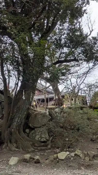 村雲御所瑞龍寺門跡(滋賀県)