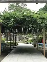 金蛇水神社の庭園