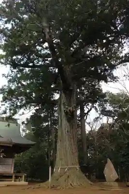 松山神社(千葉県)