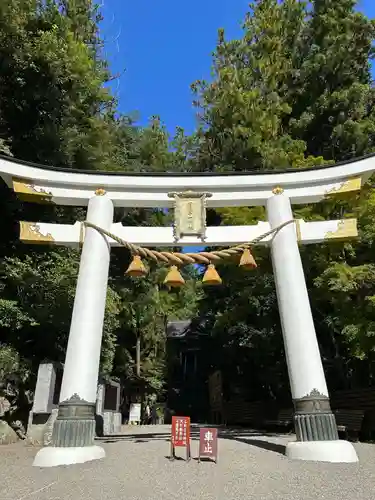 宝登山神社(埼玉県)