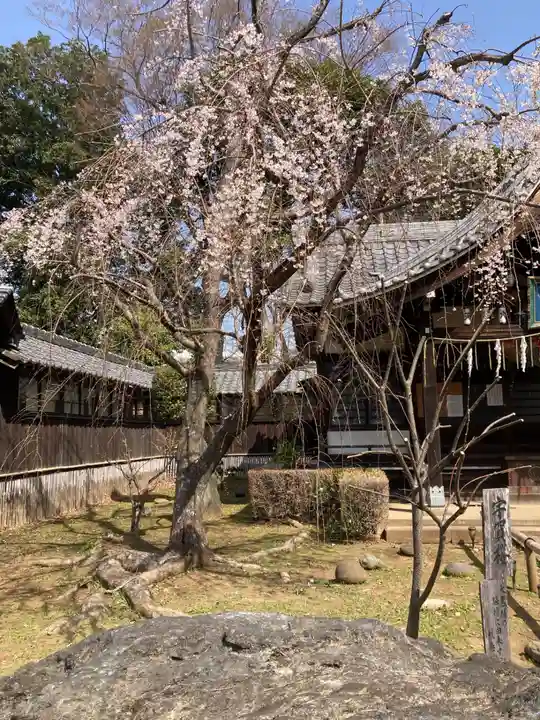 弘法寺(千葉県)