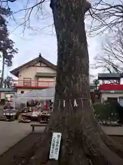 一言主神社の自然