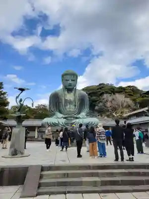 高徳院(神奈川県)