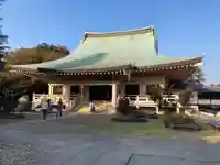 豪徳寺の本殿・本堂
