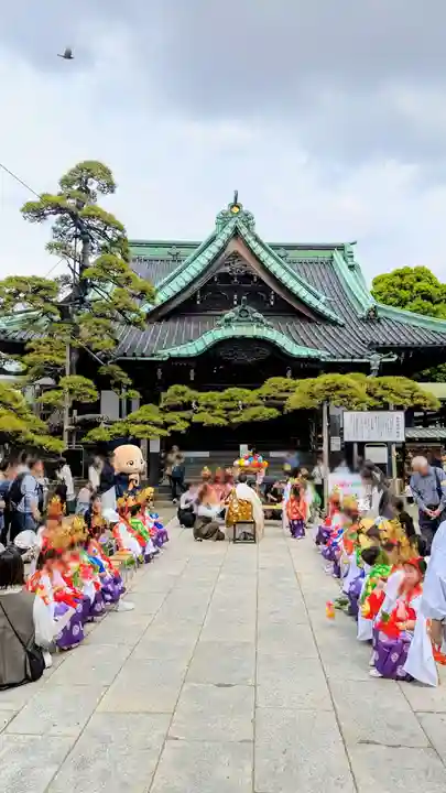 題経寺(柴又帝釈天)のお祭り