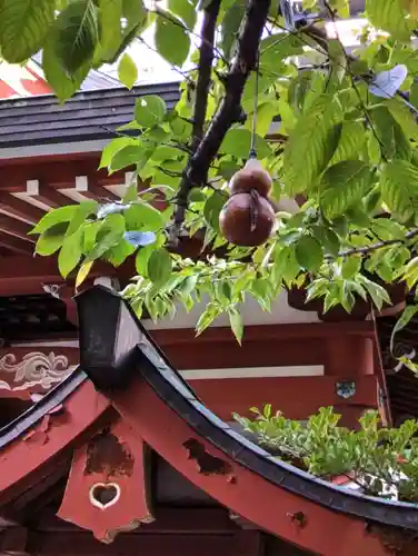 秋葉神社(東京都)