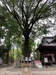 田無神社の自然