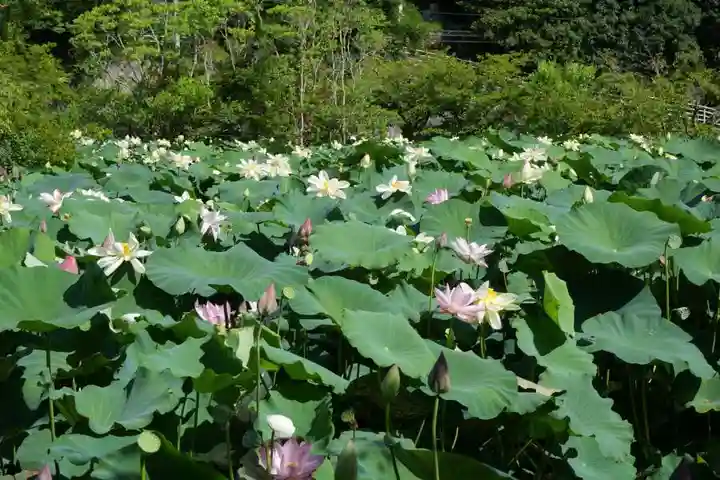 東行庵(山口県)