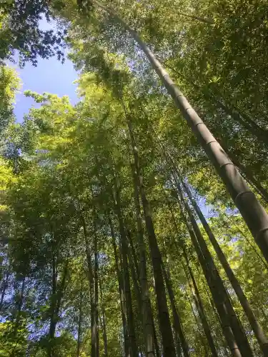 圓光寺(京都府)