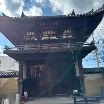 般若寺 ❁﻿コスモス寺❁(奈良県)