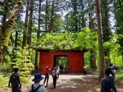 戸隠神社奥社の{uncategorized: "未分類", other: "その他", undefined: "問題あり", building: "その他建物", grave: "お墓", sacred_gate: "鳥居", guardian: "狛犬", statue: "像", buddha: "仏像", history: "歴史", nature: "自然", garden: "庭園", animal: "動物", pagoda: "塔", temizu: "手水舎", mountain_gate: "山門・神門", sanctuary: "本殿・本堂", subordinate: "末社・摂社", art: "芸術", scenery: "景色", jizo: "地蔵", ema: "絵馬", goshuin: "御朱印", omikuji: "おみくじ", items: "授与品その他", amulet: "お守り", goshuincho: "御朱印帳", eats: "食事", festival: "お祭り", votive_dance: "神楽", shichigosan: "七五三参", wedding: "結婚式", experience: "体験その他", initially: "初詣", around: "周辺", anti_infection: "感染症対策"}
