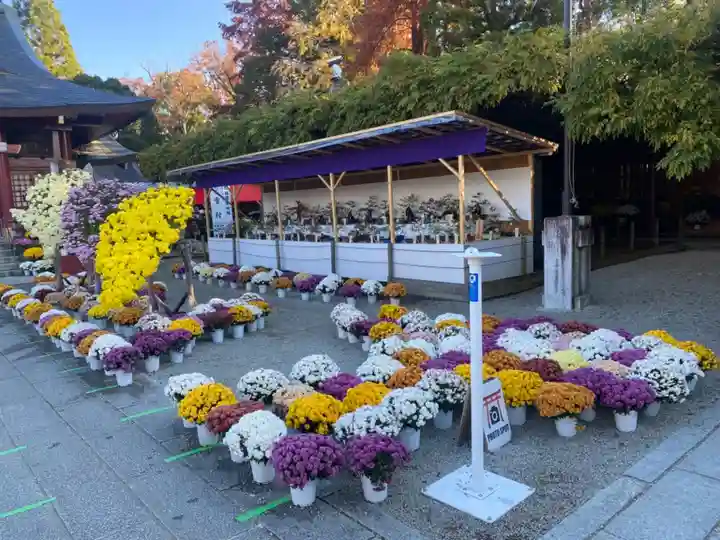 笠間稲荷神社の自然
