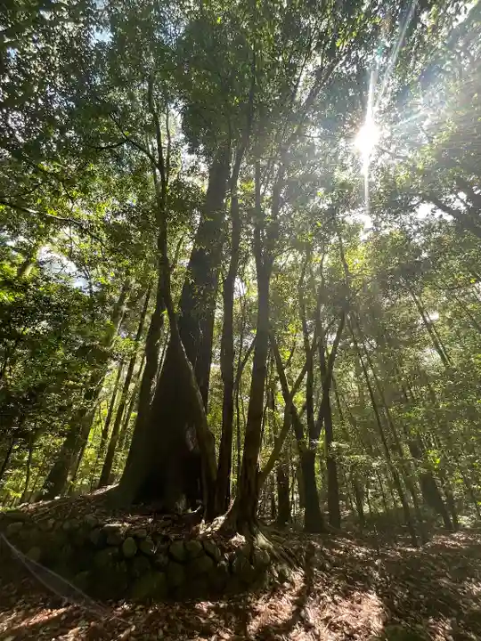 伊勢神宮内宮(皇大神宮)(三重県)