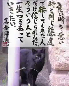 専念寺(大阪府)(2022年06月18日(土) 20時00分50秒投稿)