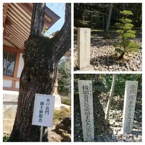 多田神社(兵庫県)