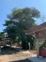 普門院(千葉県)