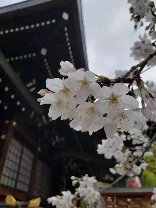 熊野神社(東京都)