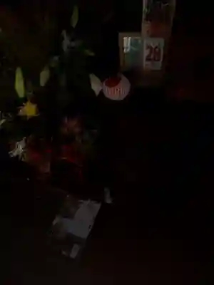 大悲願寺(東京都)