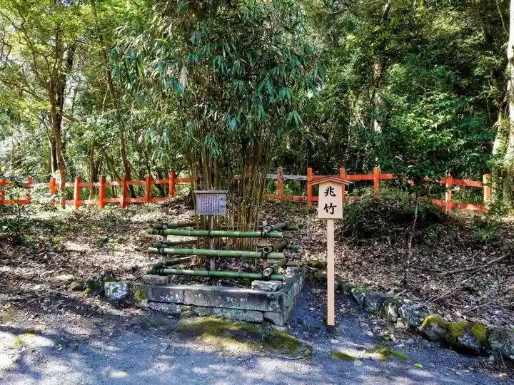 宇佐神宮の自然