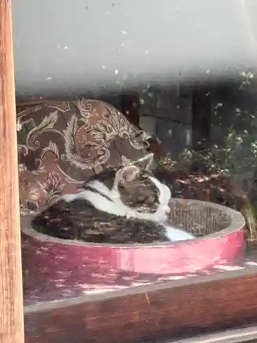 蔵前神社(東京都)