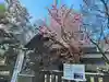 石狩八幡神社(北海道)
