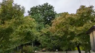 勝林寺(京都府)