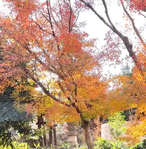 祥龍山 金剛寺(神奈川県)