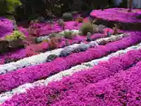 寿量山 速成寺の自然