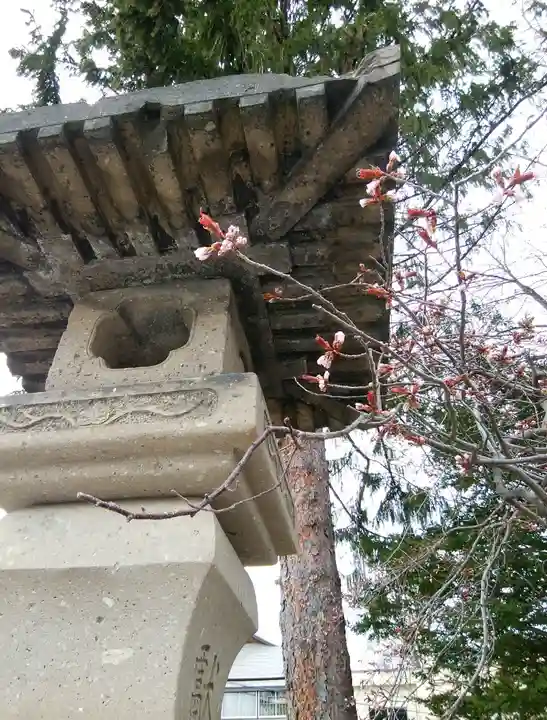 住吉神社の自然