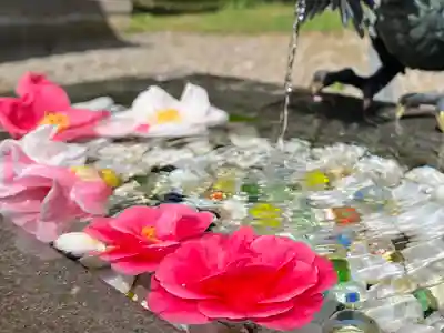 函館八幡宮の手水舎