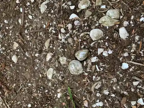 有吉日枝神社の自然