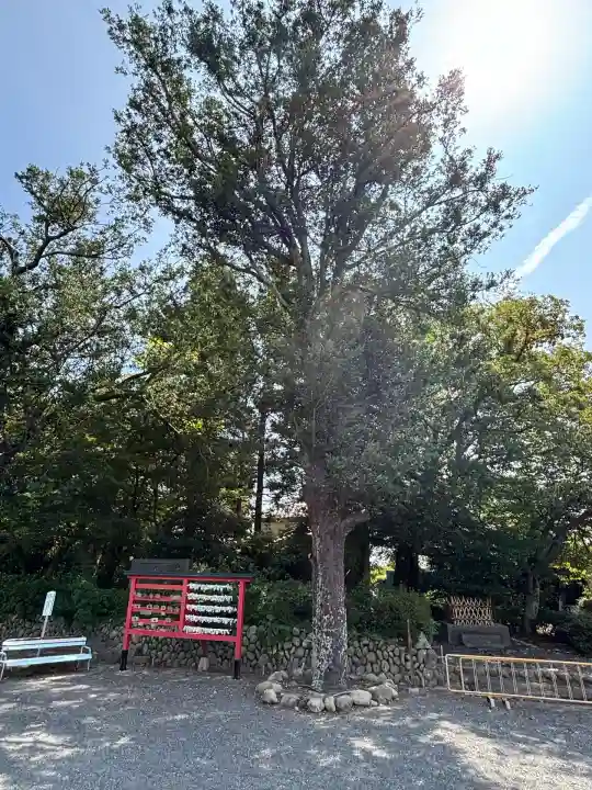三熊野神社(静岡県)