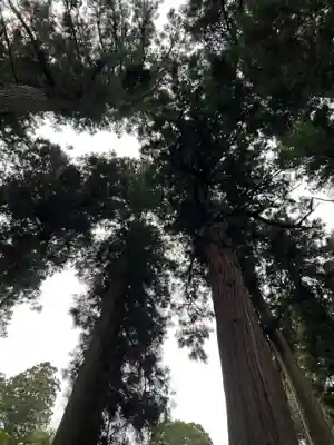大宮温泉神社(栃木県)