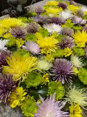 長良神社の手水