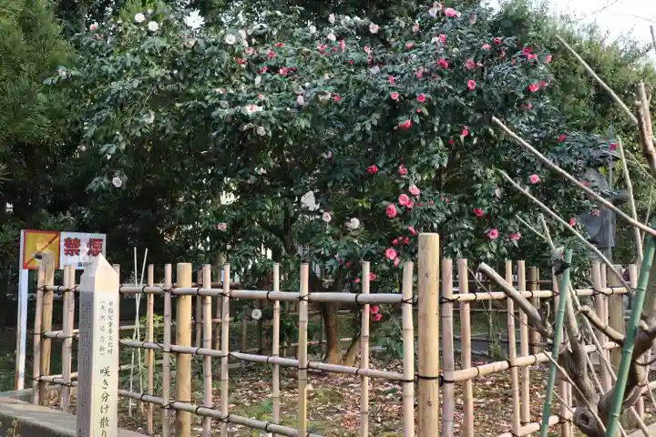 星谷寺のその他建物