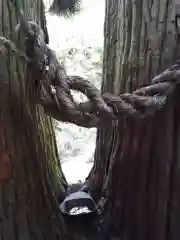 神龍八大龍王神社の自然