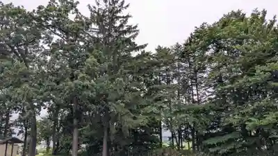 屈足神社の自然