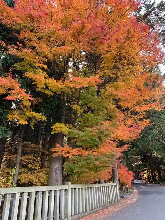 北口本宮冨士浅間神社の自然
