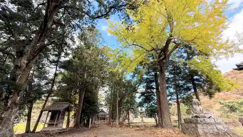 倭文神社(京都府)