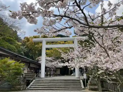 安房神社(千葉県)