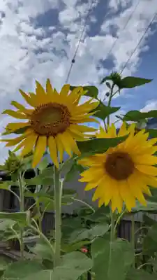 禅林寺(愛知県)