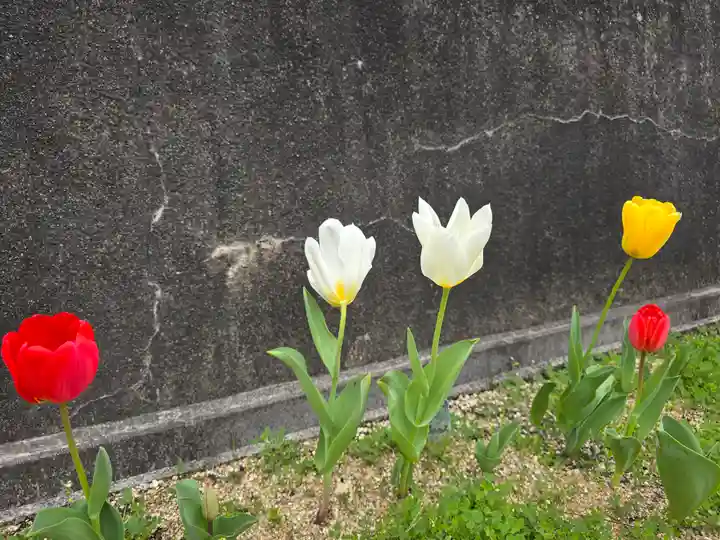 皆乗寺(和歌山県)