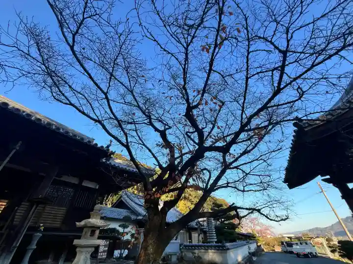 神願寺(和歌山県)