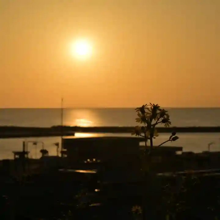 白山媛神社(新潟県)
