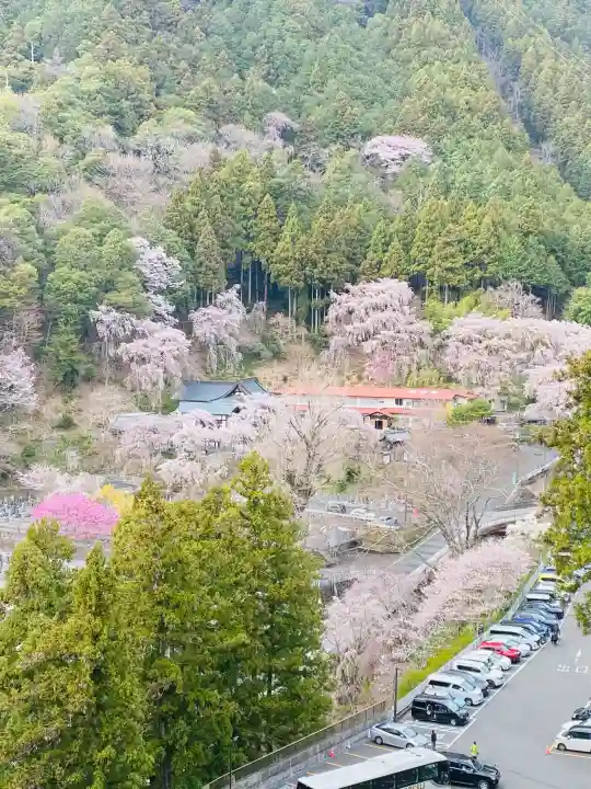 久遠寺の{uncategorized: "未分類", other: "その他", undefined: "問題あり", building: "その他建物", grave: "お墓", sacred_gate: "鳥居", guardian: "狛犬", statue: "像", buddha: "仏像", history: "歴史", nature: "自然", garden: "庭園", animal: "動物", pagoda: "塔", temizu: "手水舎", mountain_gate: "山門・神門", sanctuary: "本殿・本堂", subordinate: "末社・摂社", art: "芸術", scenery: "景色", jizo: "地蔵", ema: "絵馬", goshuin: "御朱印", omikuji: "おみくじ", items: "授与品その他", amulet: "お守り", goshuincho: "御朱印帳", eats: "食事", festival: "お祭り", votive_dance: "神楽", shichigosan: "七五三参", wedding: "結婚式", experience: "体験その他", initially: "初詣", around: "周辺", anti_infection: "感染症対策"}