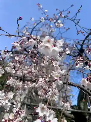 長建寺の{uncategorized: "未分類", other: "その他", undefined: "問題あり", building: "その他建物", grave: "お墓", sacred_gate: "鳥居", guardian: "狛犬", statue: "像", buddha: "仏像", history: "歴史", nature: "自然", garden: "庭園", animal: "動物", pagoda: "塔", temizu: "手水舎", mountain_gate: "山門・神門", sanctuary: "本殿・本堂", subordinate: "末社・摂社", art: "芸術", scenery: "景色", jizo: "地蔵", ema: "絵馬", goshuin: "御朱印", omikuji: "おみくじ", items: "授与品その他", amulet: "お守り", goshuincho: "御朱印帳", eats: "食事", festival: "お祭り", votive_dance: "神楽", shichigosan: "七五三参", wedding: "結婚式", experience: "体験その他", initially: "初詣", around: "周辺", anti_infection: "感染症対策"}