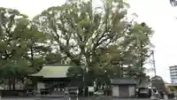 前島神社の自然