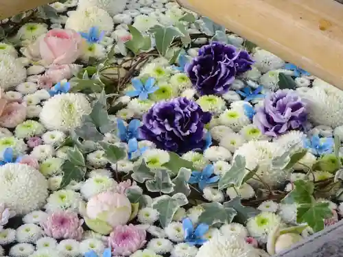 高円寺氷川神社の手水舎