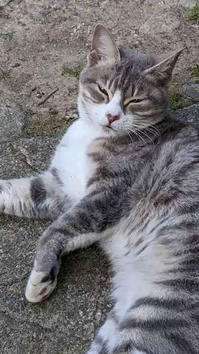 玉野御嶽神社の動物